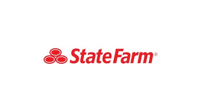 Seguros state farm